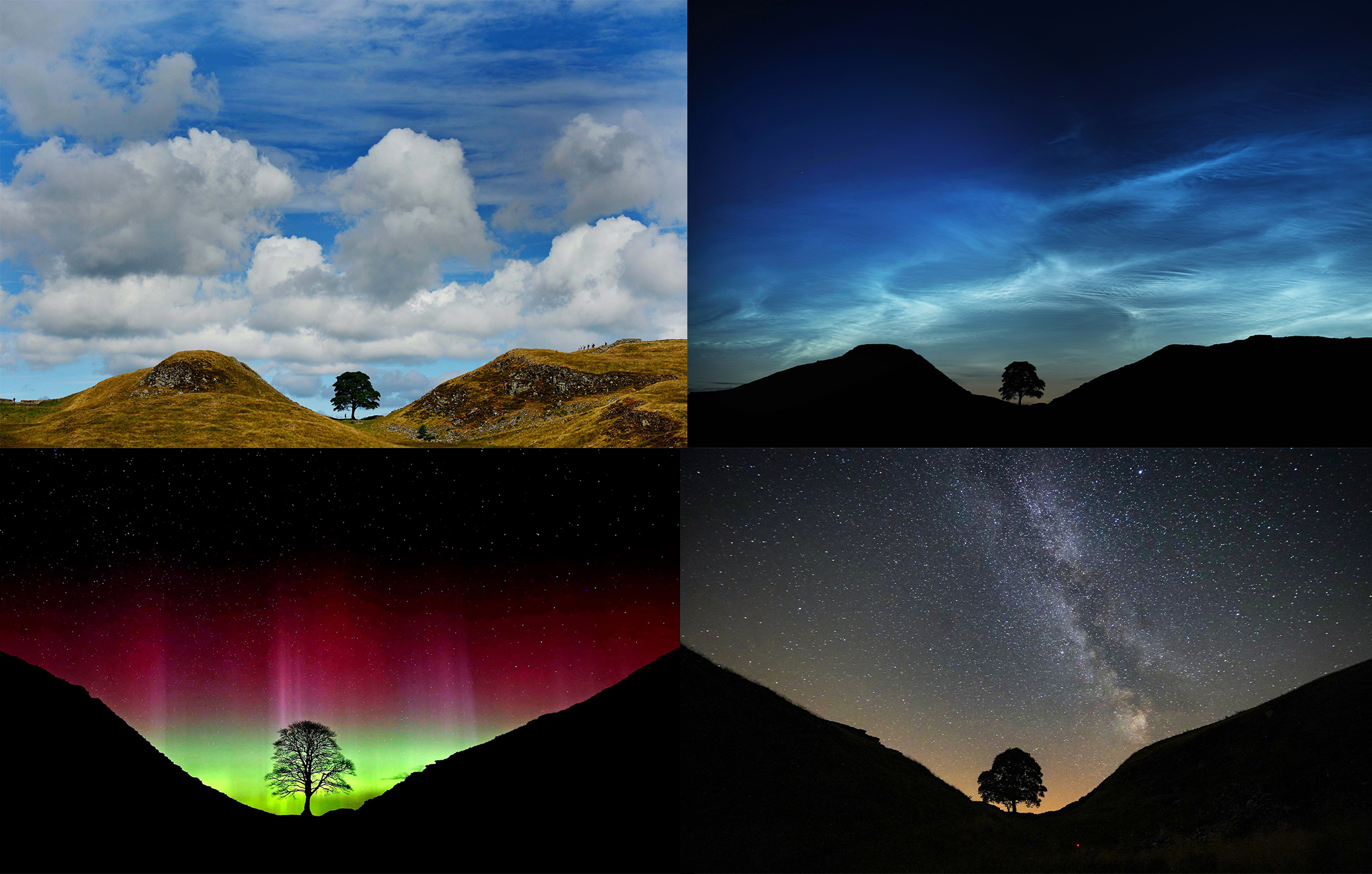 Undated pictures of the tree at Sycamore Gap, Northumberland, taken (clockwise from top left) in daylight, with noctilucent clouds, the Milky Way, and the Northern Lights. Two men will appear in court charged with causing criminal damage after the